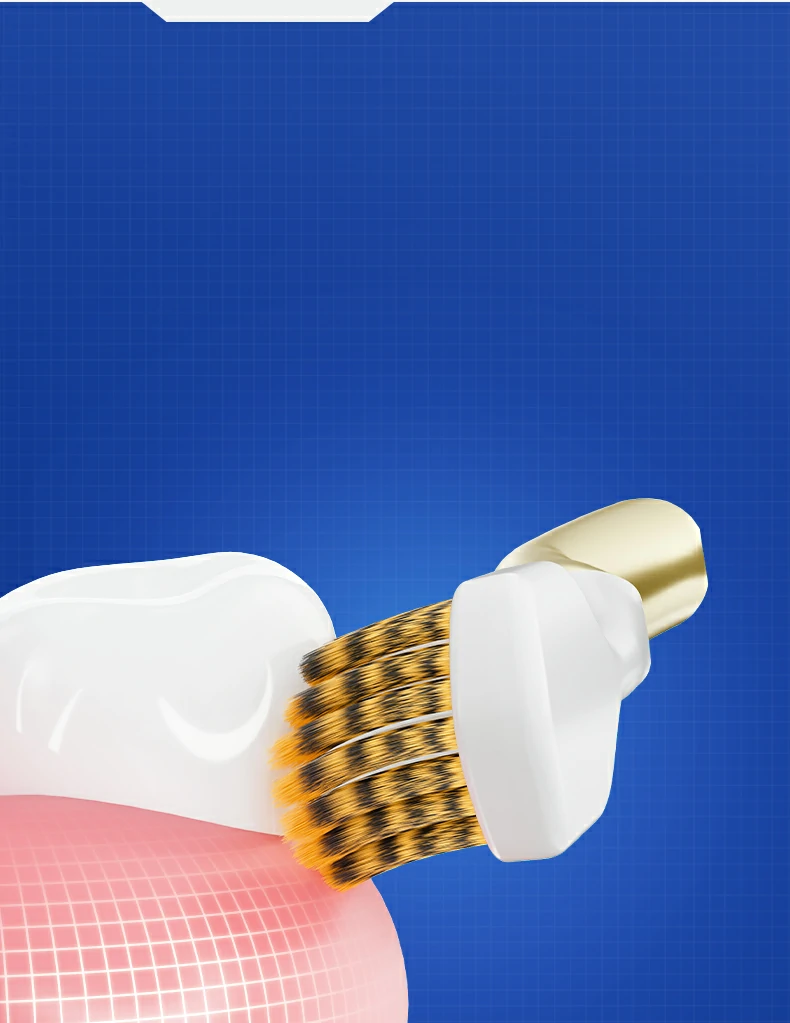 Custom Logo Gold Handle Replaceable Brush Head Toothbrush