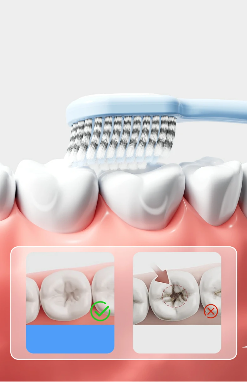 Colorful Ultrasoft PBT Bristle Toothbrush