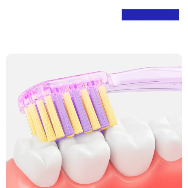 Eco Degradable Toothbrush for Sustainable Daily Oral Care