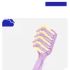 Eco Degradable Toothbrush for Sustainable Daily Oral Care