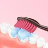 Portable Blister Card Toothbrush