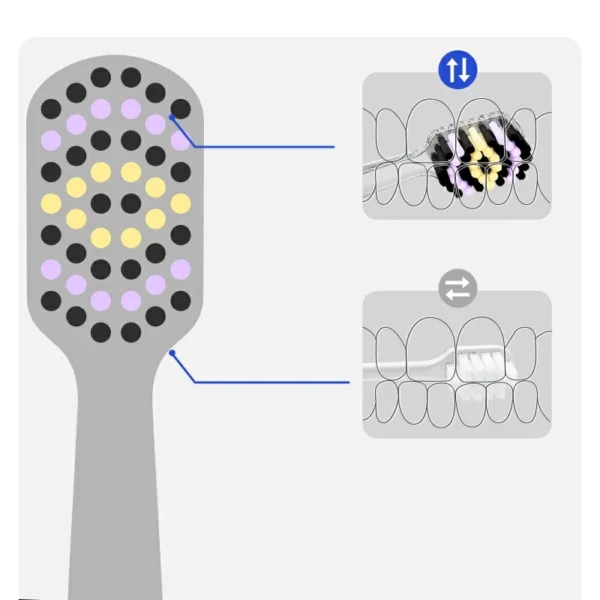 Wide Width Colorful Ultra Soft Toothbrush