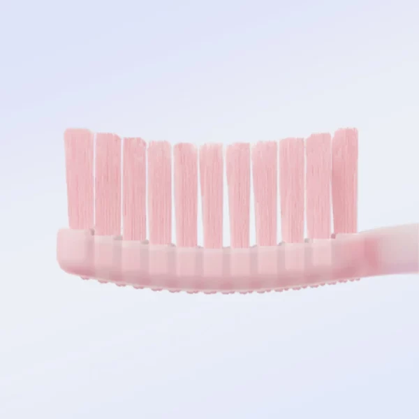 Adult Toothbrush with Extended Brush Head for Deeper Cleaning