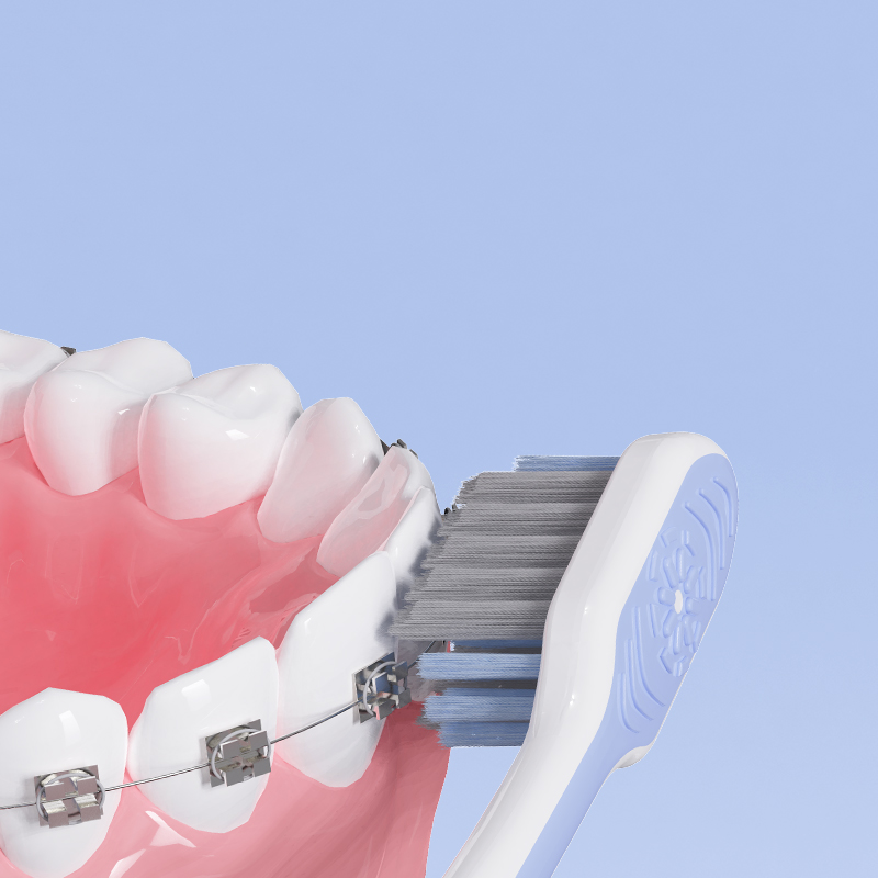Custom Orthodontic Toothbrush with Colorful Logo