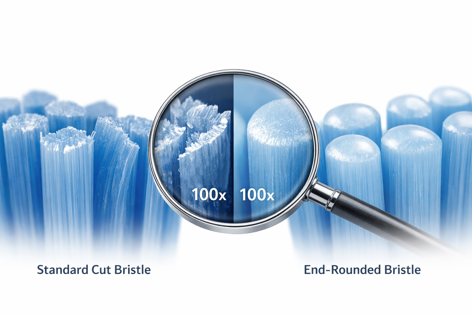 Microscopic comparison between standard cut bristles and end-rounded bristles toothbrush filaments