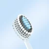 Convex Soft Bristle Adult Toothbrush
