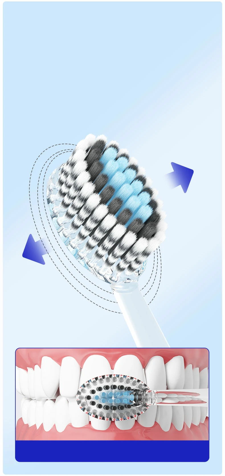 Convex Soft Bristle Adult Toothbrush