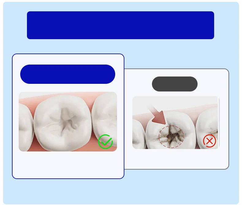Convex Soft Bristle Adult Toothbrush