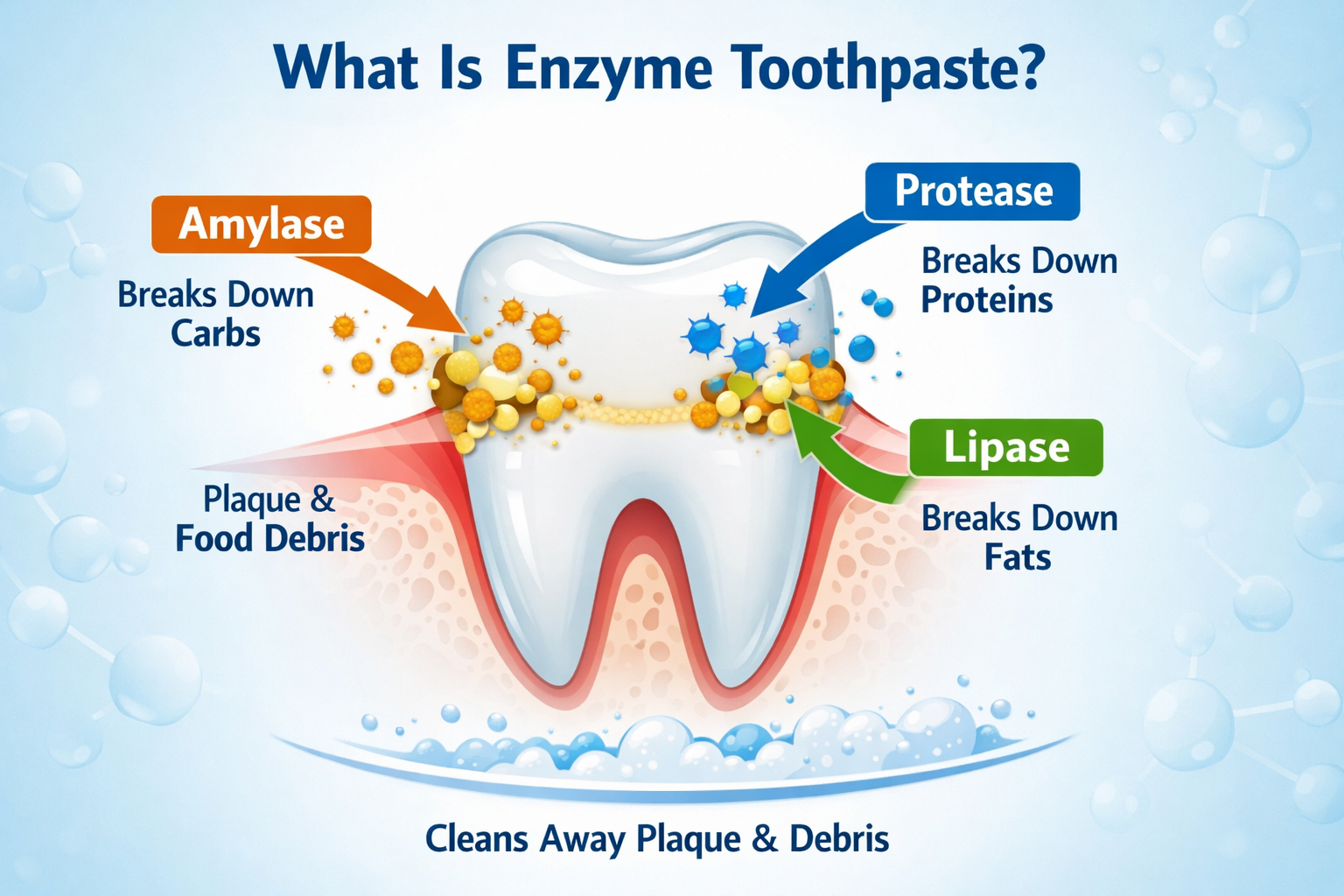 illustration showing how enzyme toothpaste works on plaque and food debris