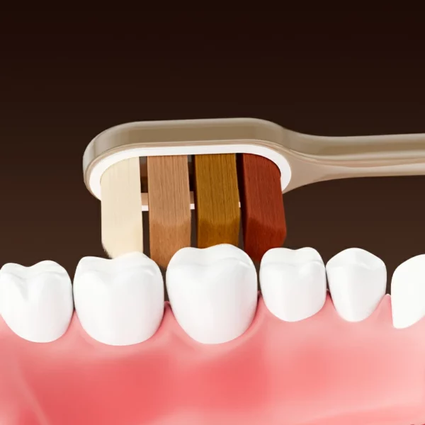 Premium 10,000+ Dense Bristle Ultra Soft Toothbrush Pack