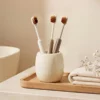 Premium 10,000+ Dense Bristle Ultra Soft Toothbrush Pack