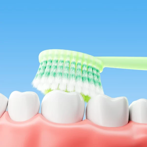 Triple Level Soft Toothbrush (3) Apple Core Handle Triple Level Soft Toothbrush