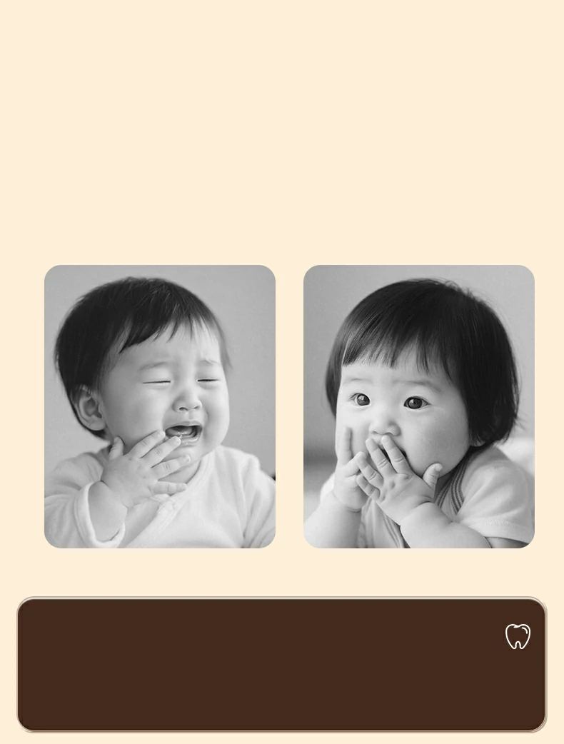 Cartoon Bear Ultra Soft Kids Toothbrush (5-Pack) – High-Density PBT Bristles